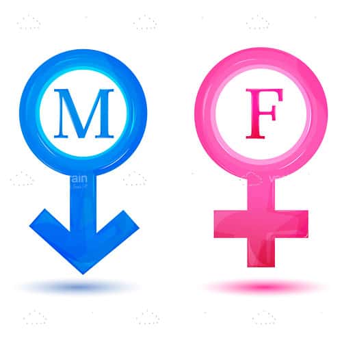 Pink and Blue Male and Female Icons